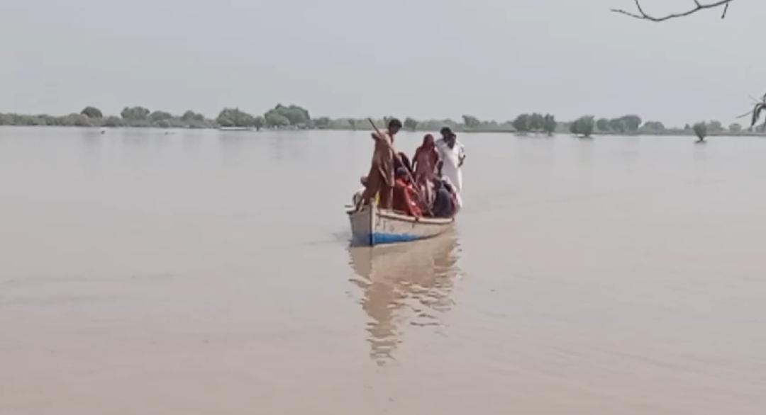 WhatsApp Image 2024-08-23 at 15.38.20_f97a1019