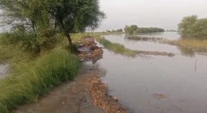 WhatsApp Image 2024-08-23 at 16.41.42_87a5fc3d