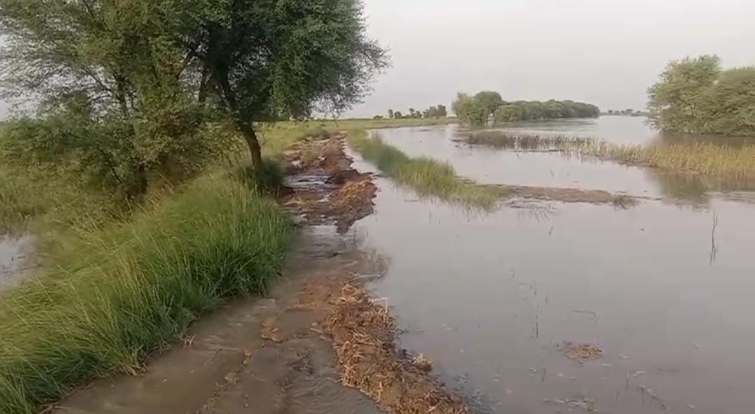 WhatsApp Image 2024-08-23 at 16.41.42_87a5fc3d