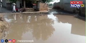 WhatsApp Image 2024-08-23 at 18.09.05_3967c38c