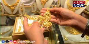 WhatsApp Image 2024-08-23 at 20.04.16_6dc1346d