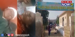 WhatsApp Image 2024-08-24 at 13.49.26_c86a7eef