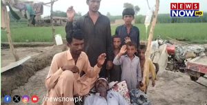 WhatsApp Image 2024-08-24 at 15.06.14_777447b7