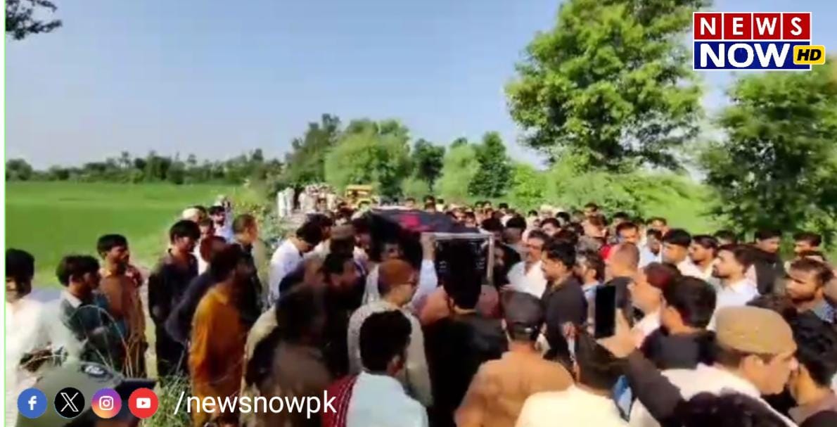 WhatsApp Image 2024-08-24 at 17.45.03_e25c30e4