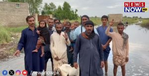 WhatsApp Image 2024-08-25 at 15.45.00_14ee507f