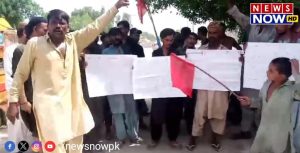 WhatsApp Image 2024-08-25 at 16.20.29_71854e92