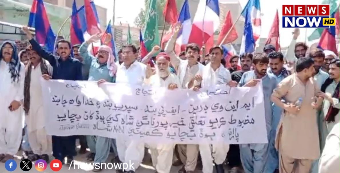 WhatsApp Image 2024-08-25 at 17.27.31_a056ed7a