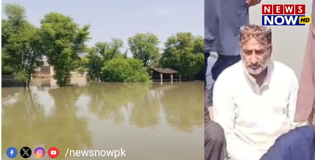 WhatsApp Image 2024-08-25 at 20.25.50_7fd6b655