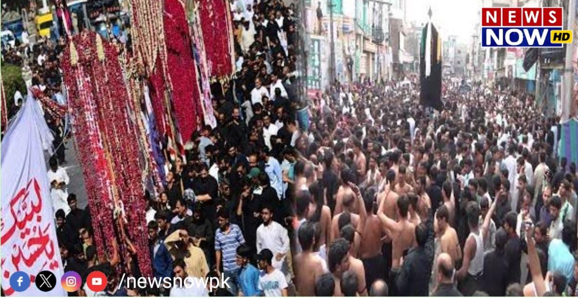 WhatsApp Image 2024-08-26 at 10.58.35_5c9048c4