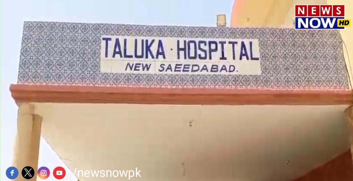 WhatsApp Image 2024-08-26 at 11.29.48_65ad4de0