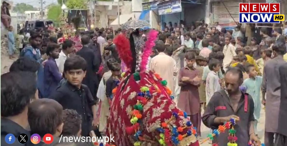 WhatsApp Image 2024-08-26 at 12.00.29_dba01b07