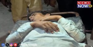 WhatsApp Image 2024-08-26 at 13.34.57_755502a6