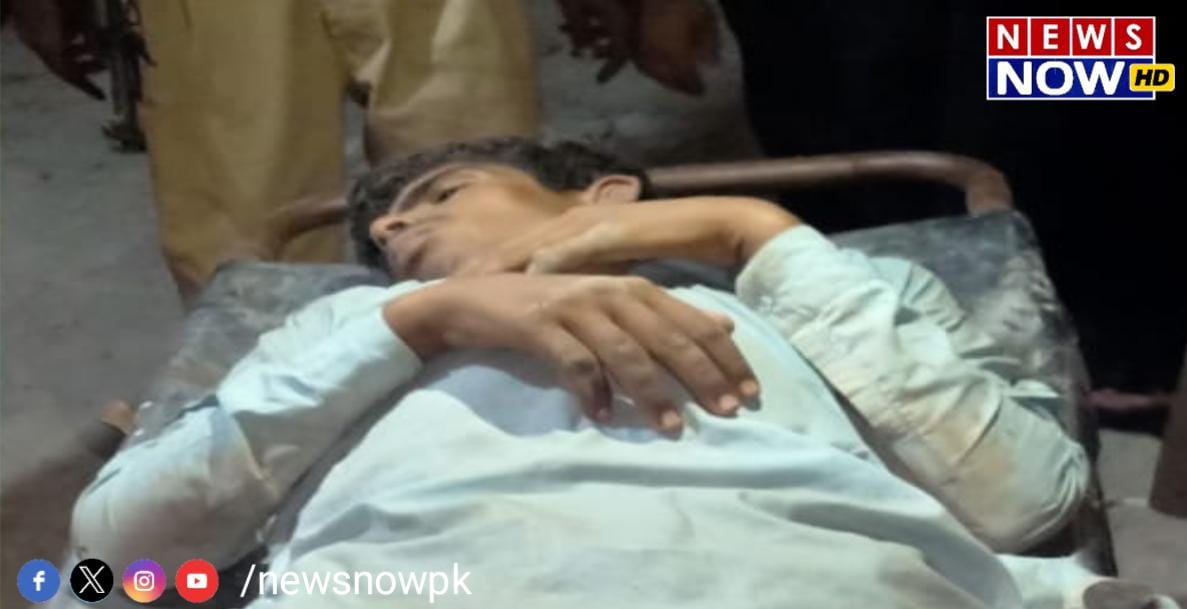 WhatsApp Image 2024-08-26 at 13.34.57_755502a6