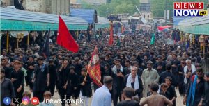 WhatsApp Image 2024-08-26 at 14.01.25_419ea9d2