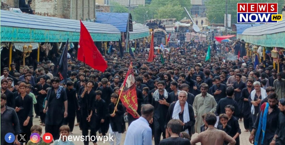 WhatsApp Image 2024-08-26 at 14.01.25_419ea9d2