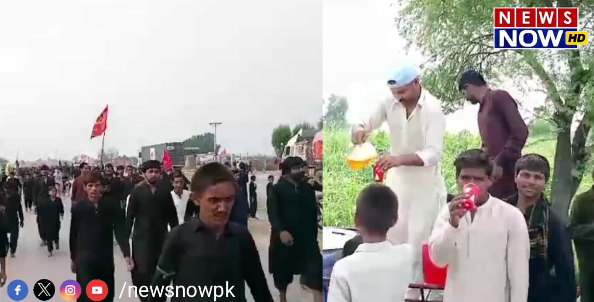 WhatsApp Image 2024-08-26 at 14.33.48_e4ccfffc