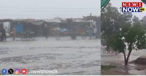 WhatsApp Image 2024-08-26 at 17.30.43_2cab1905