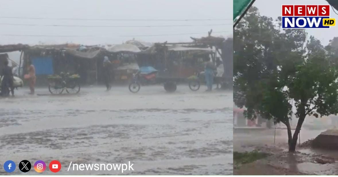 WhatsApp Image 2024-08-26 at 17.30.43_2cab1905