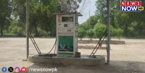 WhatsApp Image 2024-08-26 at 17.50.01_482b4556