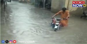 WhatsApp Image 2024-08-26 at 18.03.45_db3ab735