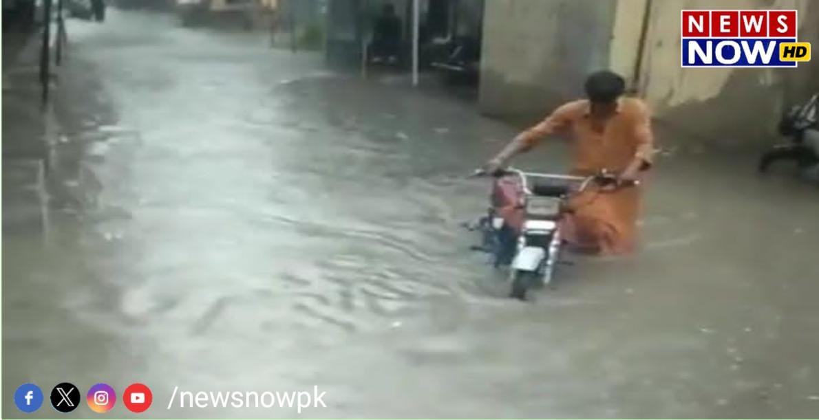 WhatsApp Image 2024-08-26 at 18.03.45_db3ab735