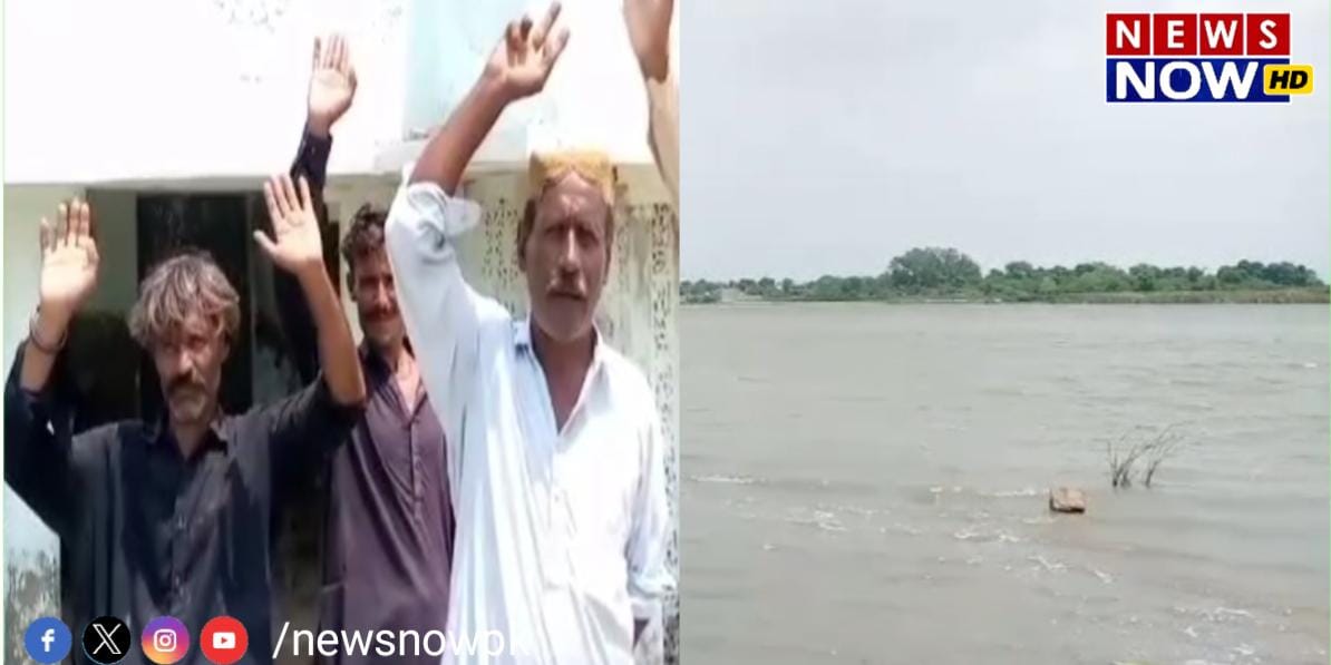 WhatsApp Image 2024-08-26 at 18.28.35_9db750b7