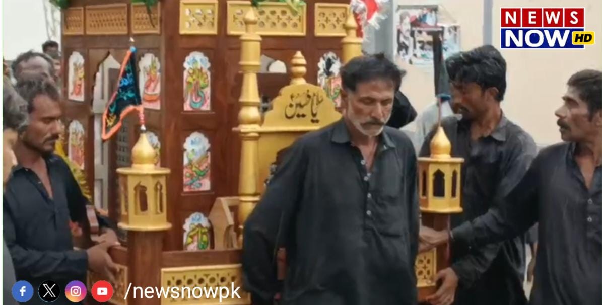 WhatsApp Image 2024-08-26 at 18.57.50_5e3f61e8