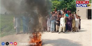 WhatsApp Image 2024-08-26 at 21.43.01_f5e6c5d6