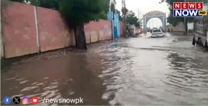 WhatsApp Image 2024-08-27 at 11.05.26_f85c4ec4