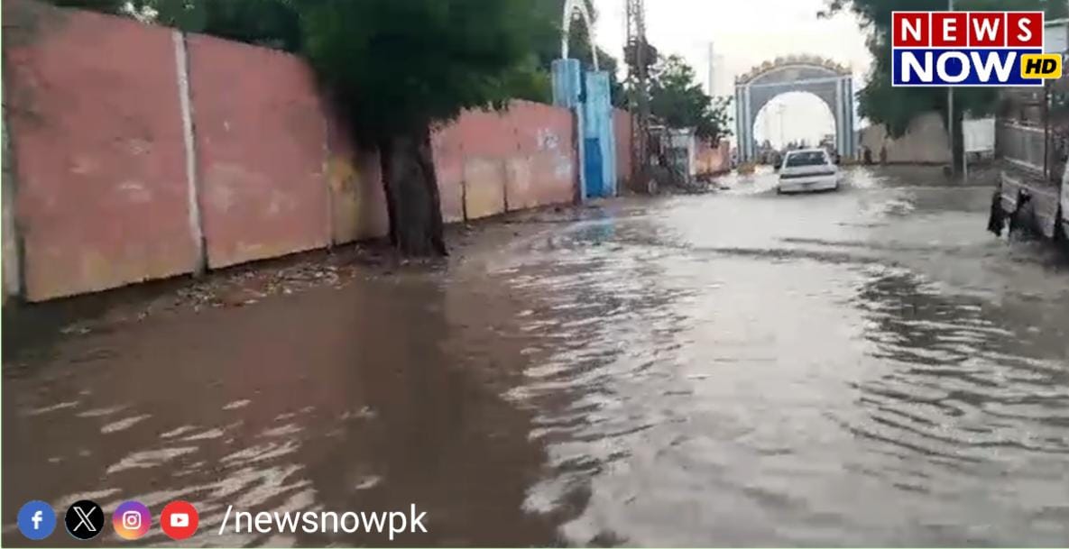 WhatsApp Image 2024-08-27 at 11.05.26_f85c4ec4