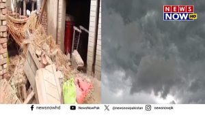 WhatsApp Image 2024-08-27 at 11.43.21_26aae088