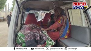 WhatsApp Image 2024-08-27 at 13.28.36_af42e83d