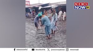 WhatsApp Image 2024-08-27 at 16.40.44_27acfc53