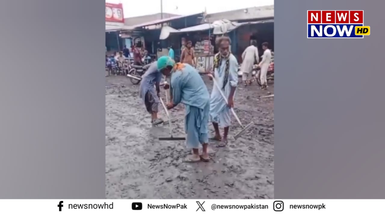 WhatsApp Image 2024-08-27 at 16.40.44_27acfc53