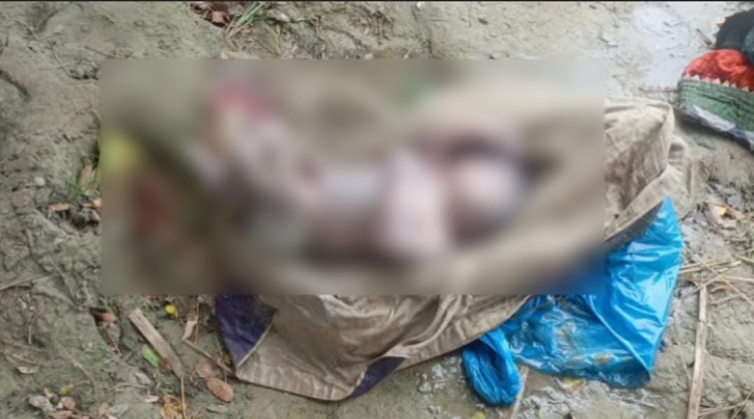 WhatsApp Image 2024-08-28 at 10.09.06_c470127c