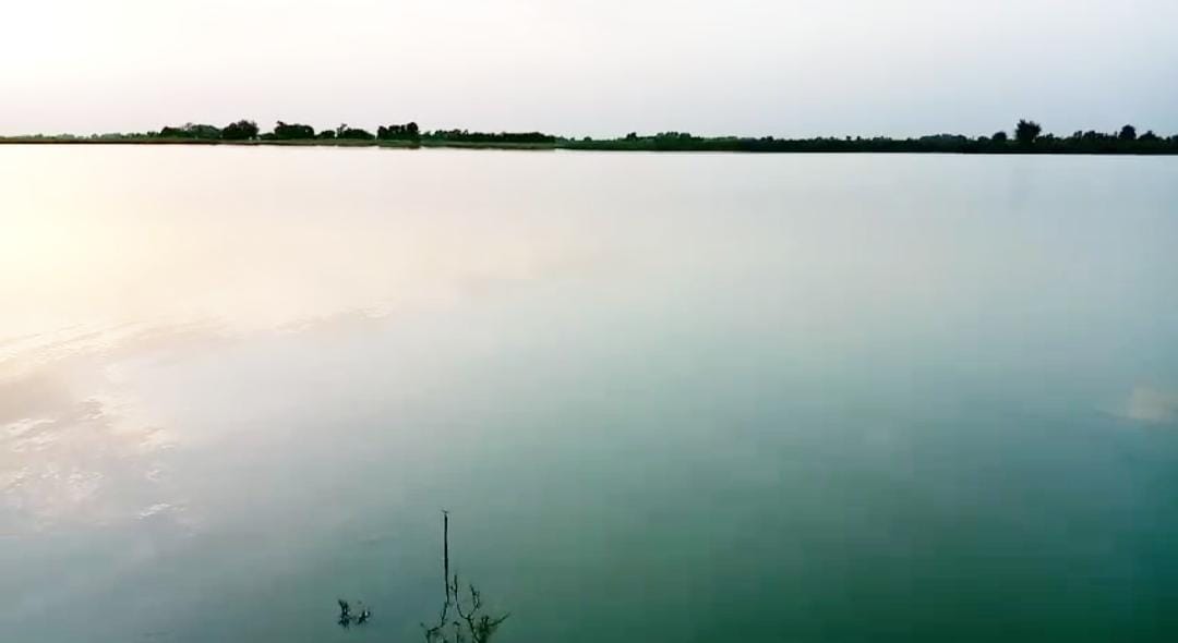 WhatsApp Image 2024-08-28 at 10.52.33_0241f93e