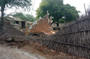 WhatsApp Image 2024-08-28 at 11.08.47_b9f04c1a