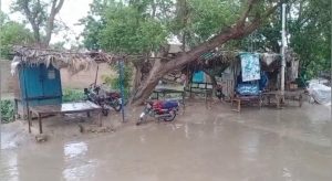 WhatsApp Image 2024-08-28 at 13.01.02_2a4dbfc5