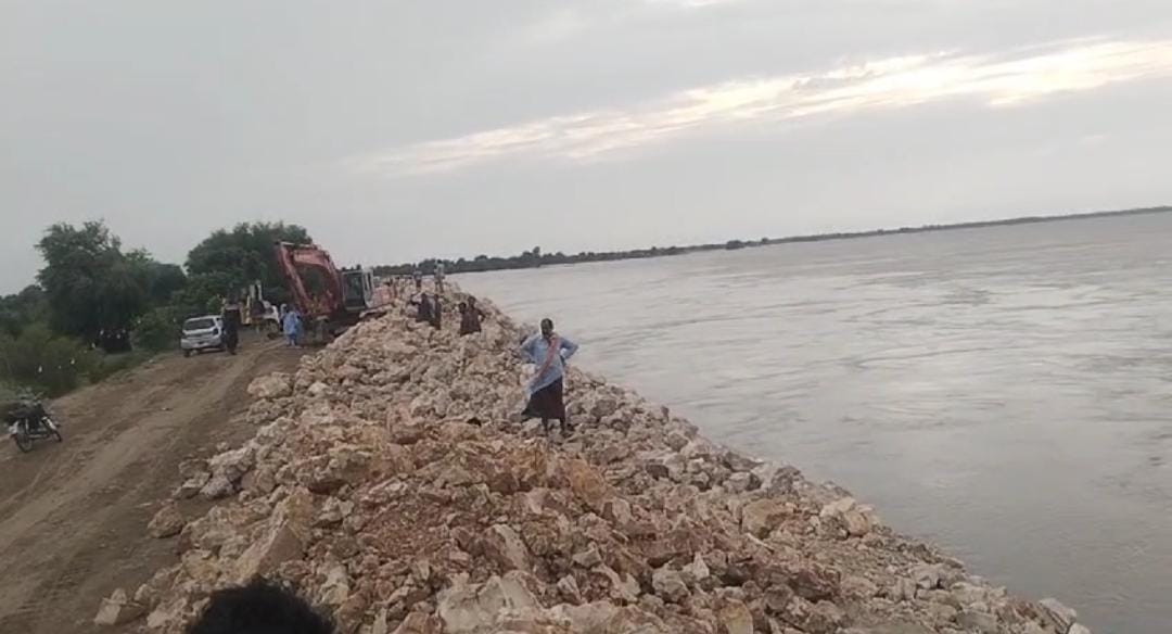 WhatsApp Image 2024-08-28 at 20.20.51_e0b2ba69