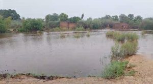 WhatsApp Image 2024-08-29 at 12.39.01