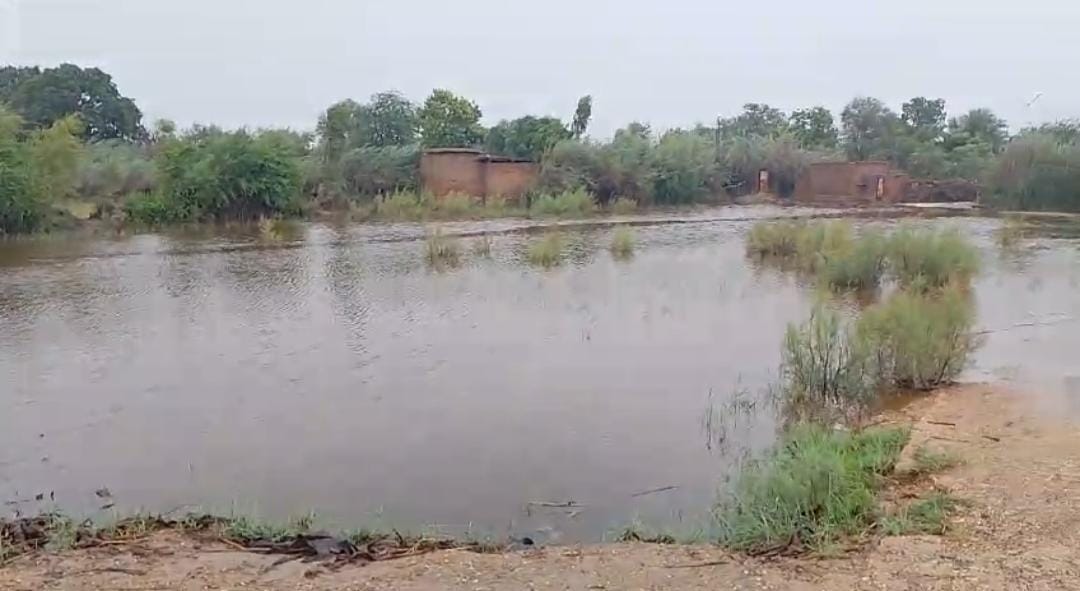 WhatsApp Image 2024-08-29 at 12.39.01