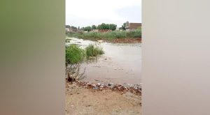 WhatsApp Image 2024-08-29 at 14.02.18