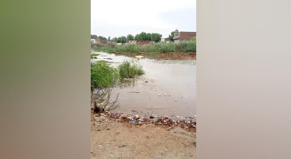 WhatsApp Image 2024-08-29 at 14.02.18