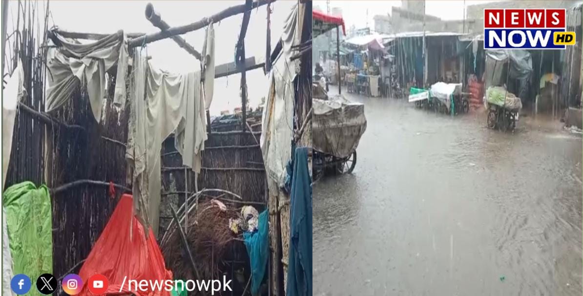 WhatsApp Image 2024-08-29 at 14.12.42