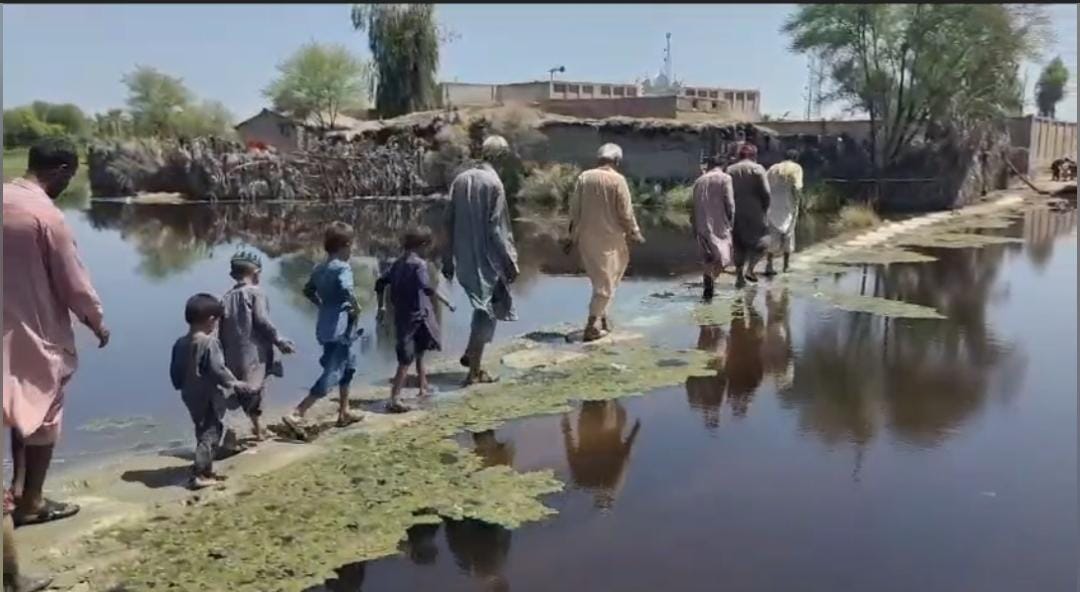 WhatsApp Image 2024-08-29 at 15.22.57