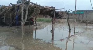 WhatsApp Image 2024-08-29 at 15.47.35