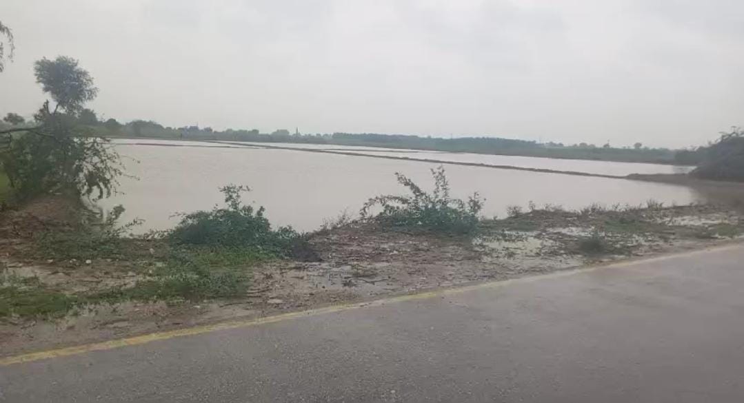 WhatsApp Image 2024-08-29 at 16.04.18