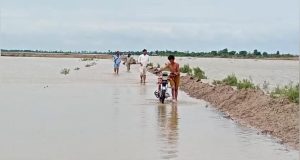 WhatsApp Image 2024-08-29 at 16.13.52