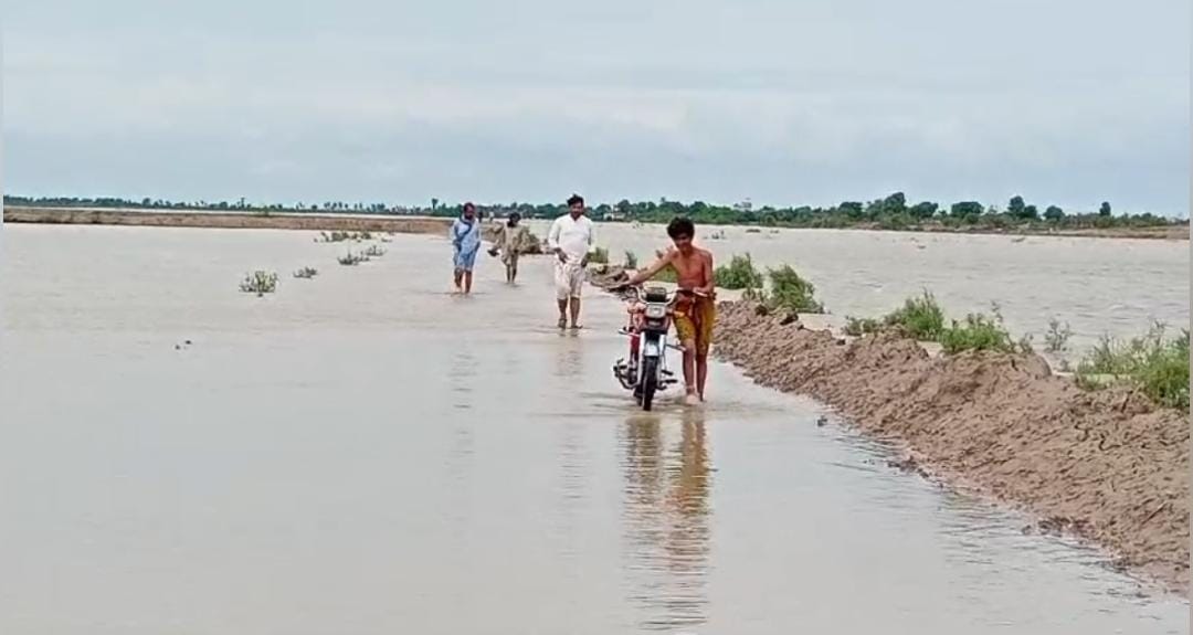 WhatsApp Image 2024-08-29 at 16.13.52