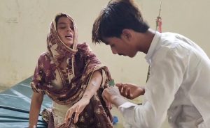 WhatsApp Image 2024-08-29 at 19.50.08_c4a03e26